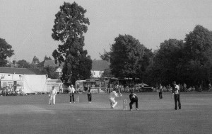 Rainham CC v Lashings 2005